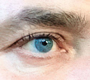 Profil von Noah