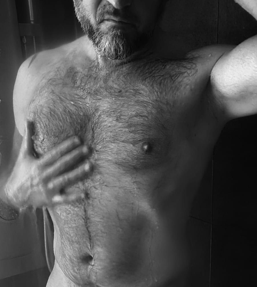 Profil von Madani